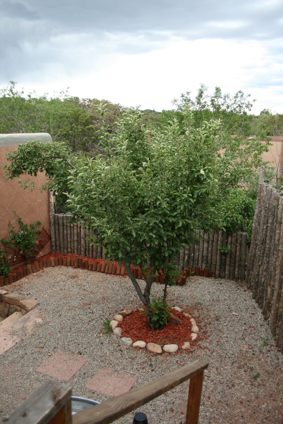 Private courtyard connected to covered parking for easy entry. Pet friendly.
