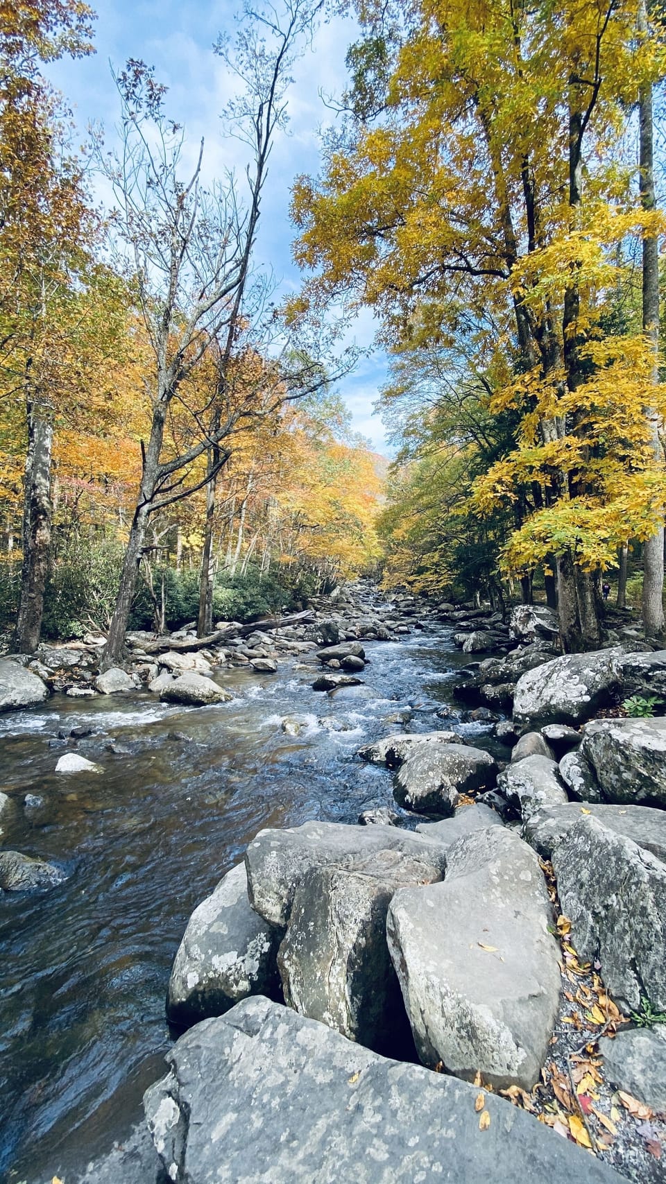 Smokey Mountain National Park