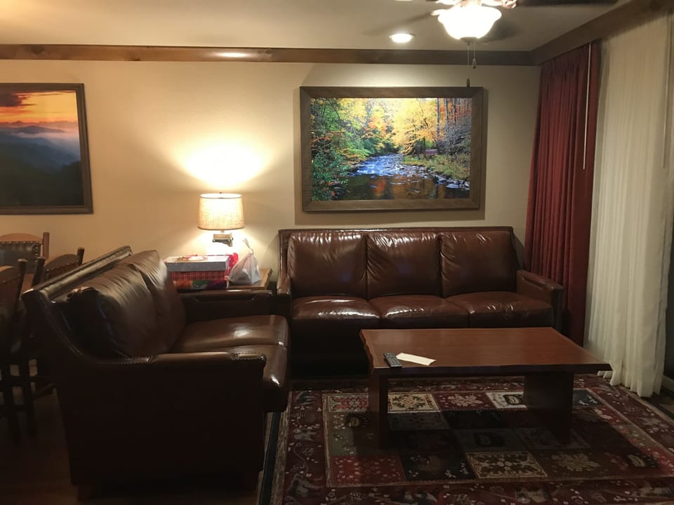 Large living area. The couch has a queen sleeper.