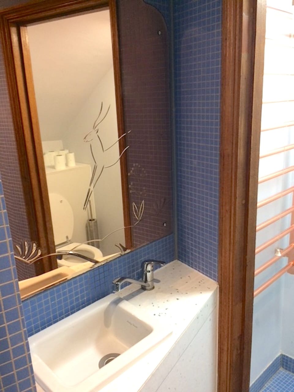 Shower room