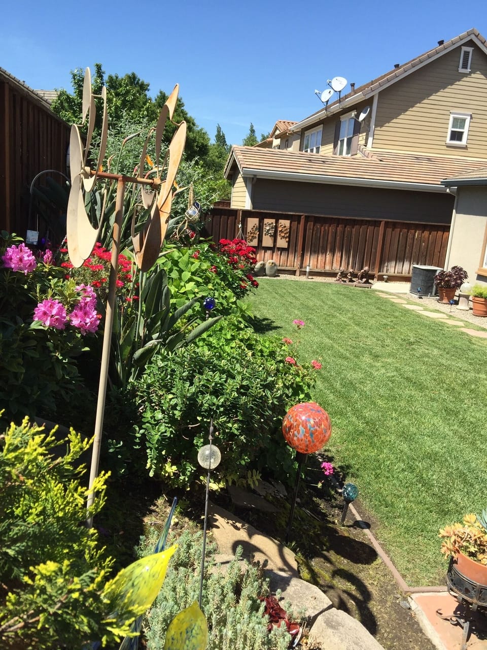 Back yard