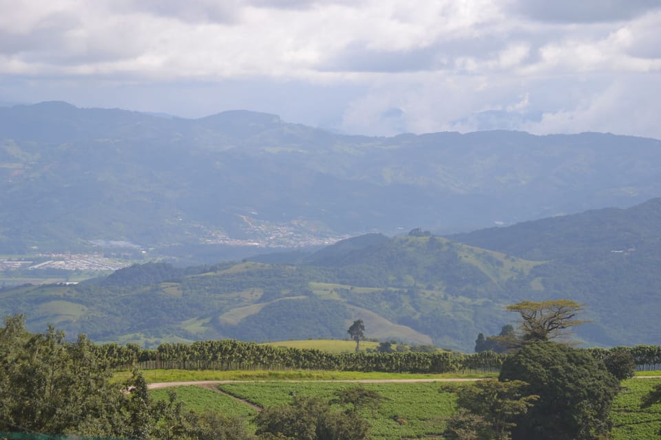 BEAUTIFUL MOUNTAIN VIEW FROM OUR TERRACE.