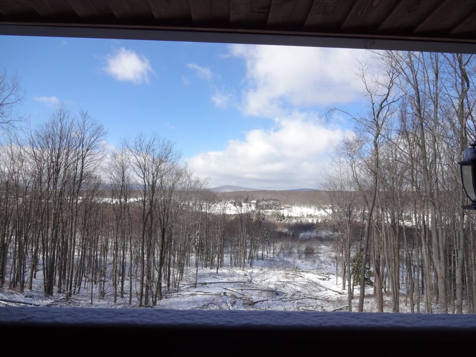 View from rear deck