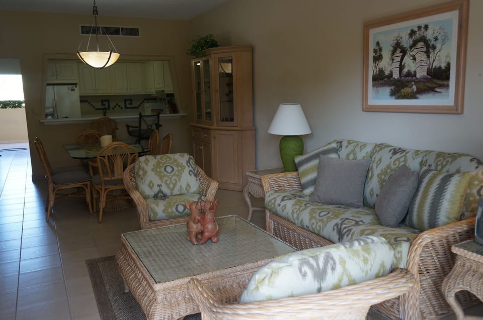 Living Room updated furniture & drapery 2015