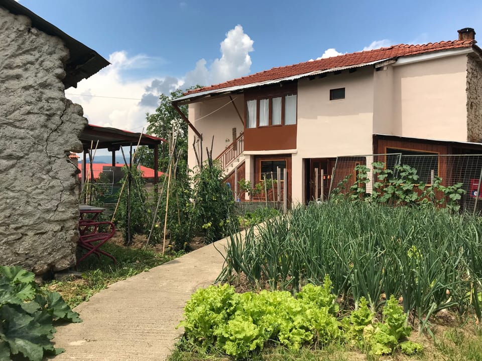 Organic garden