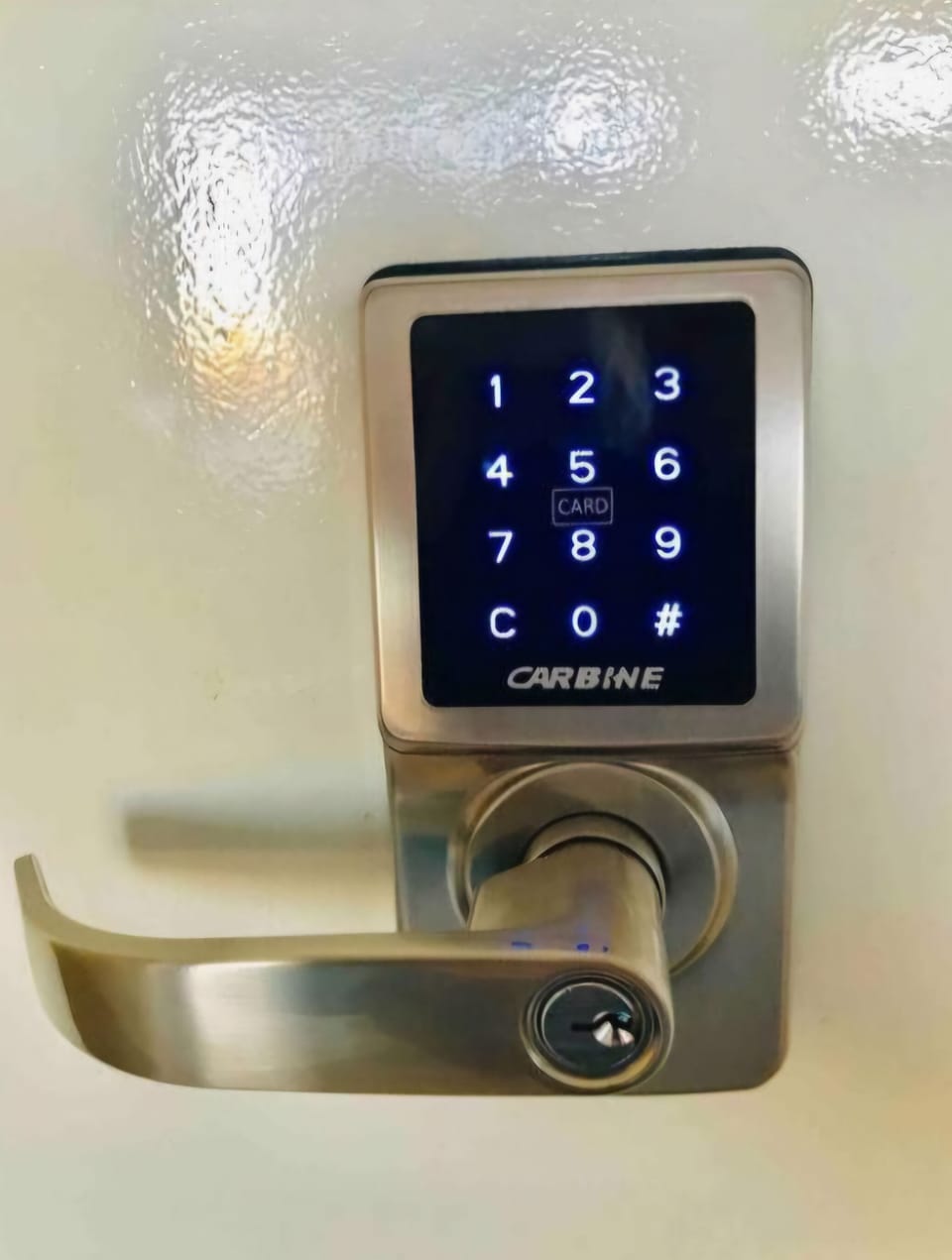 This keypad lock is on main apartment door