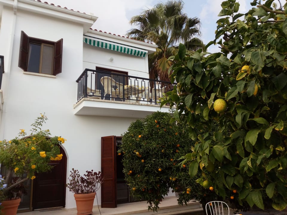 Lemon tree