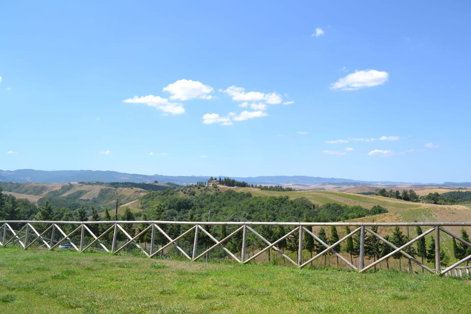 View from rear garden