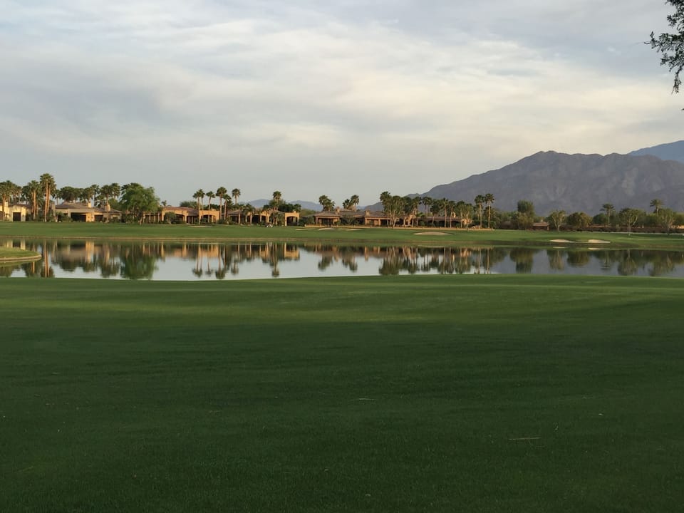 Desert scenery: lake + palms + mountain views nearby