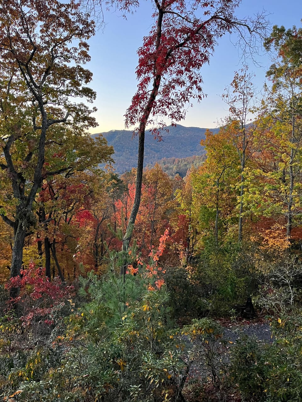 Front Porch Views