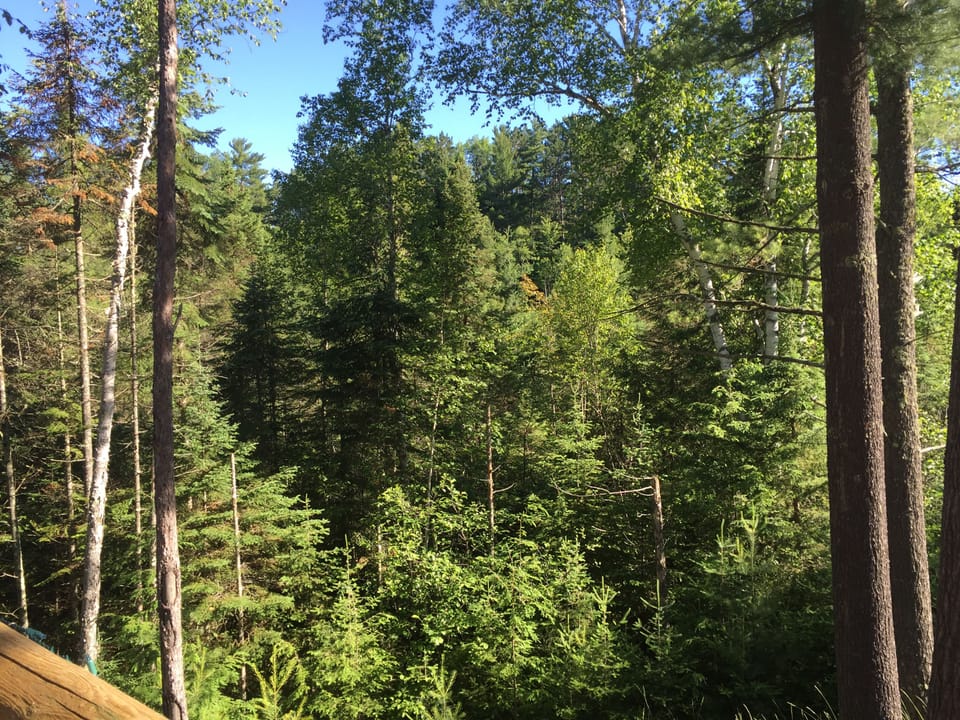 View from cabin deck