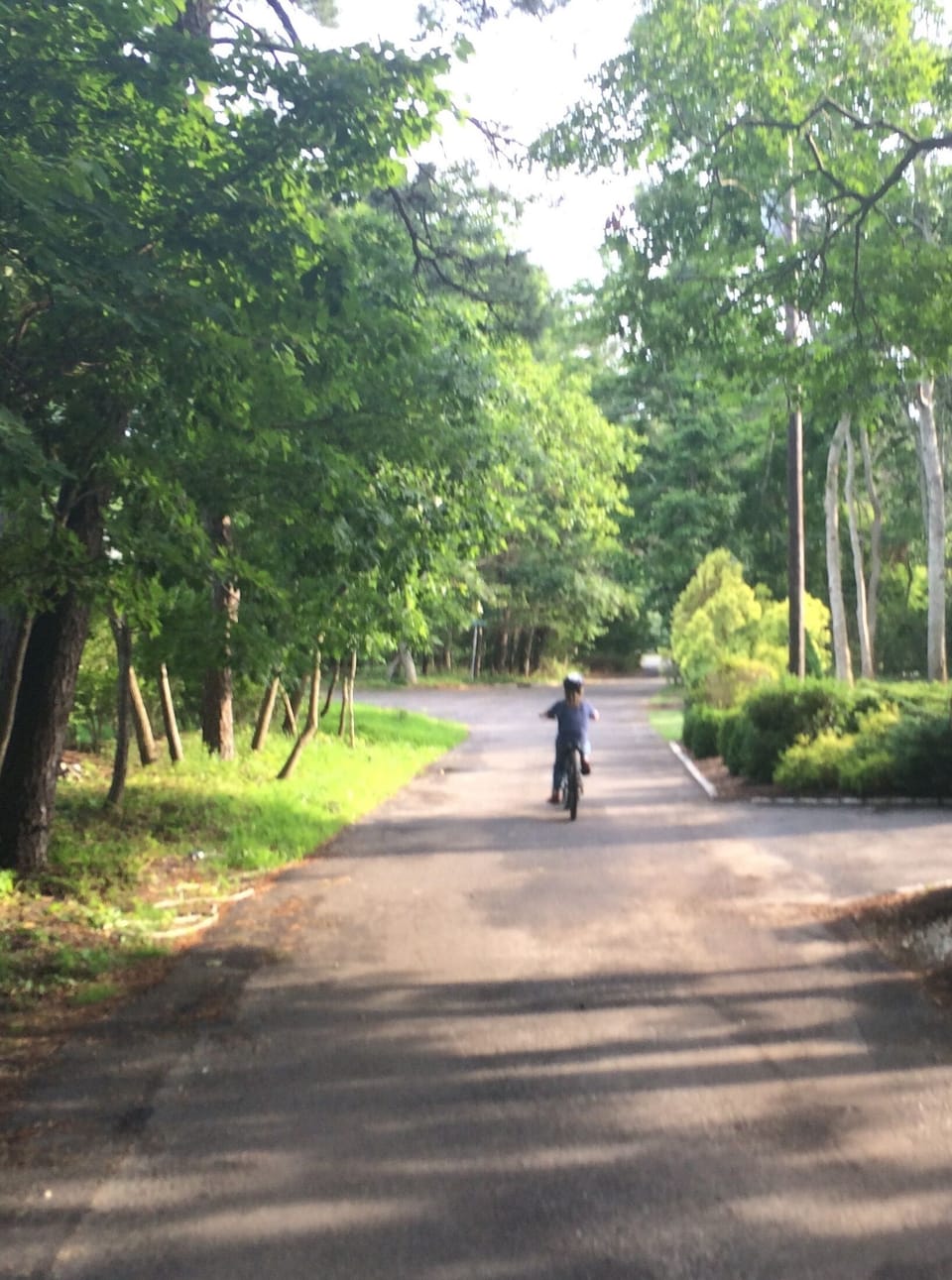 quiet single lane road ideal for families, reunions, and nature enthusiasts