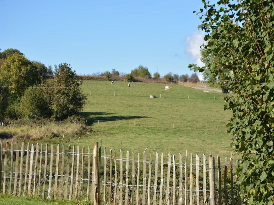 View from Holiday Home [summer]