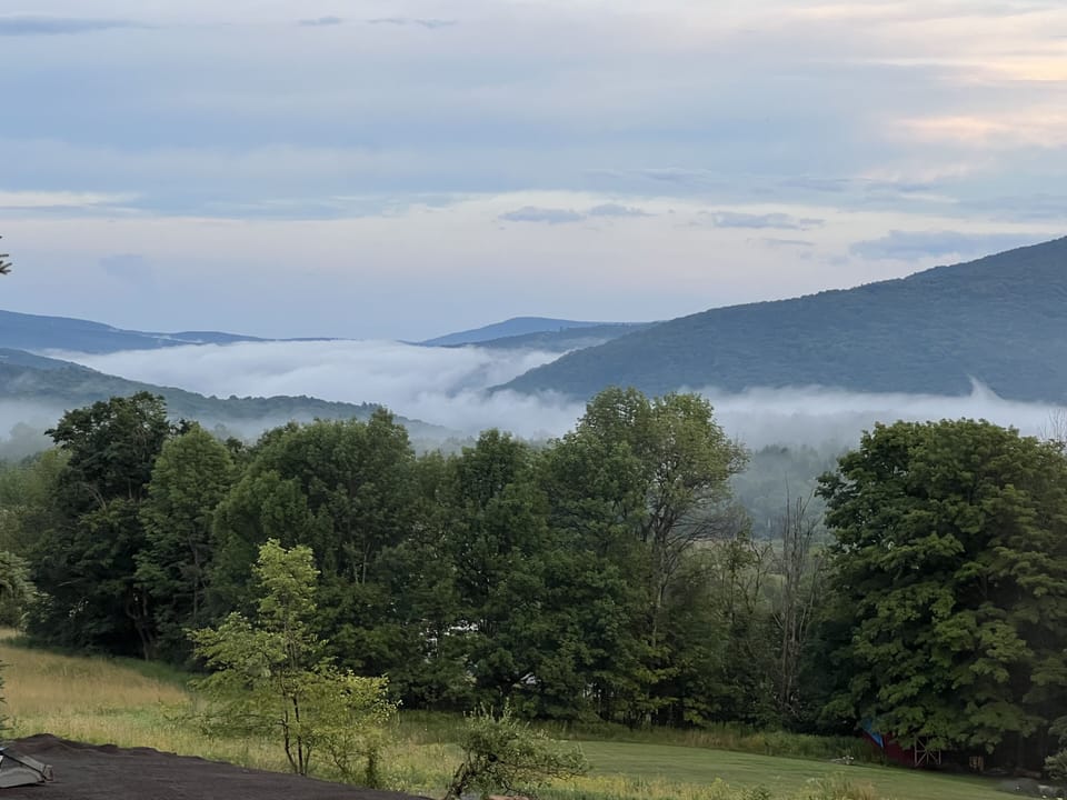 Morning Fog in the Valley
