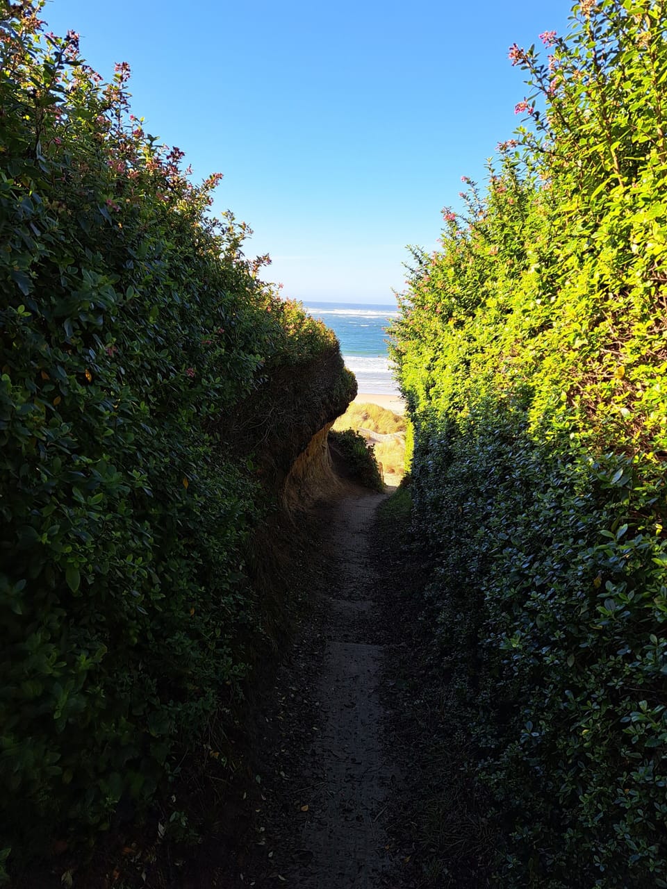 Beach Path.
