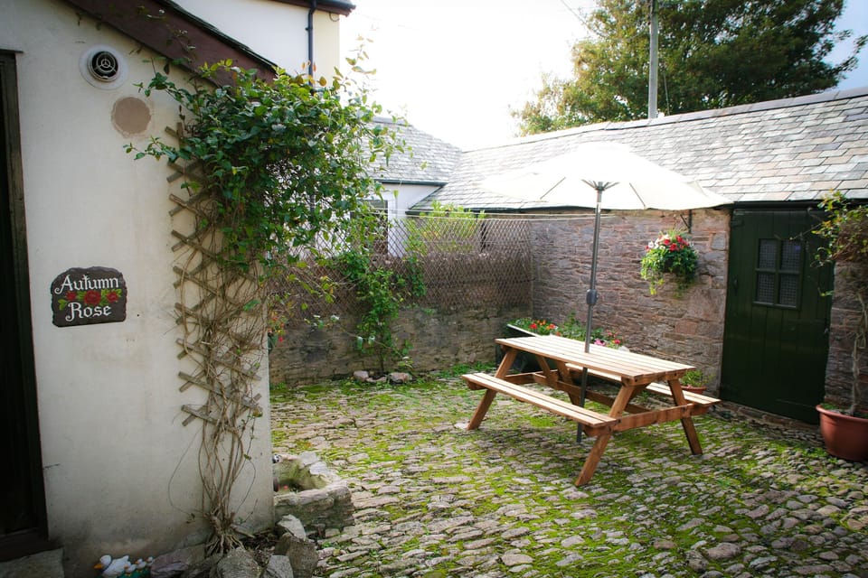 Courtyard cobbled enclosed garden safe for dogs