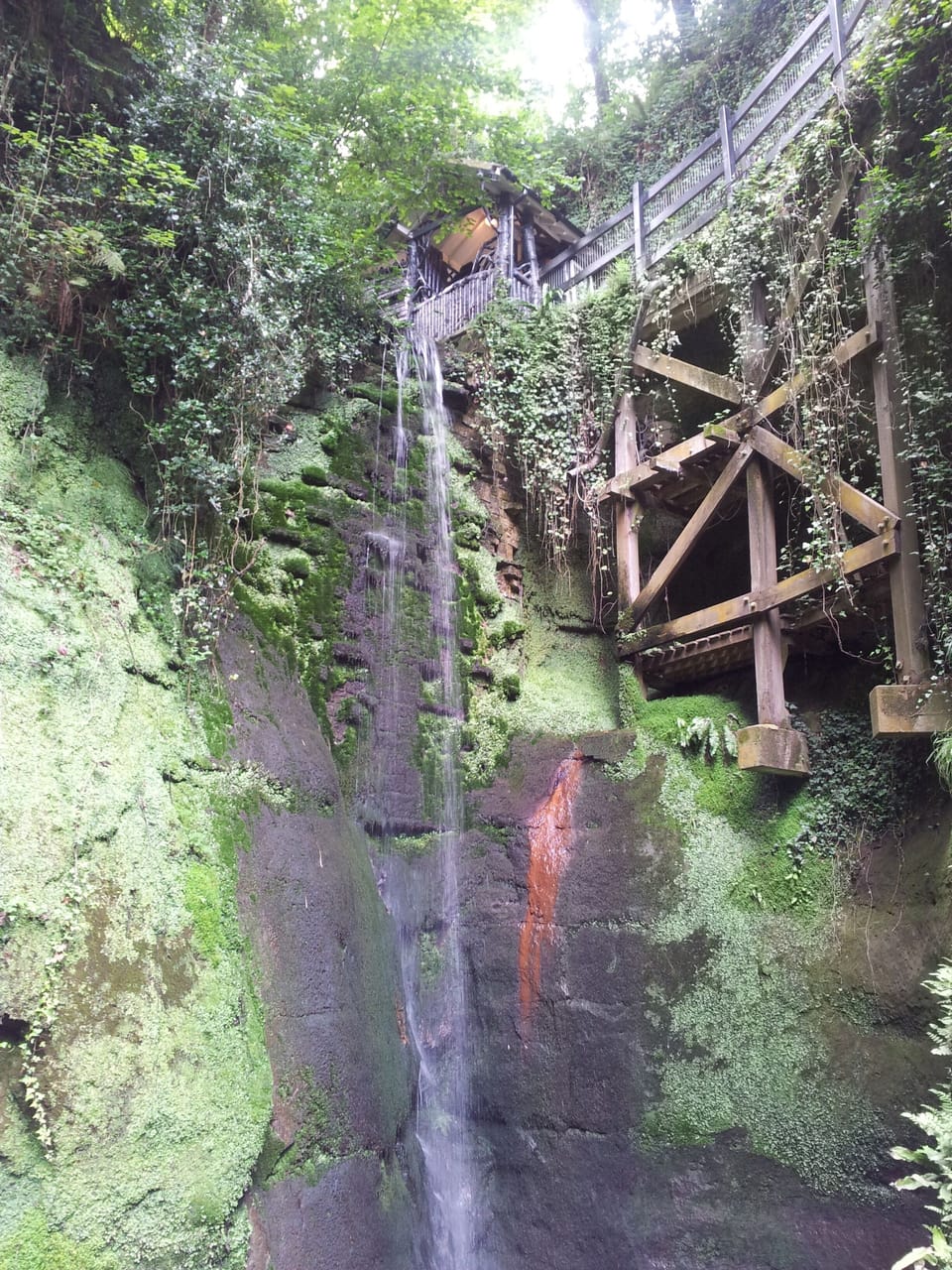 Shanklin Chine