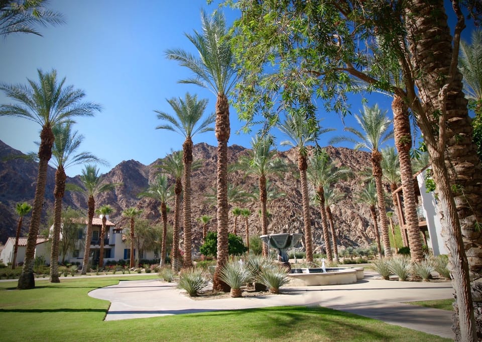 Take a stroll along Legacy Villas' palm trees.