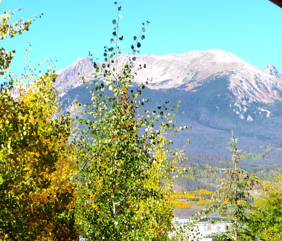 Buffalo Mountain from deck