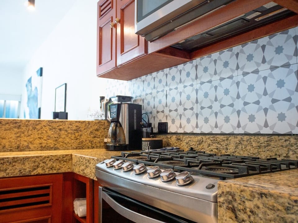 Gas Stove