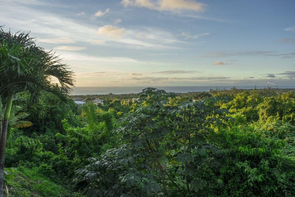 View from every room in the house.