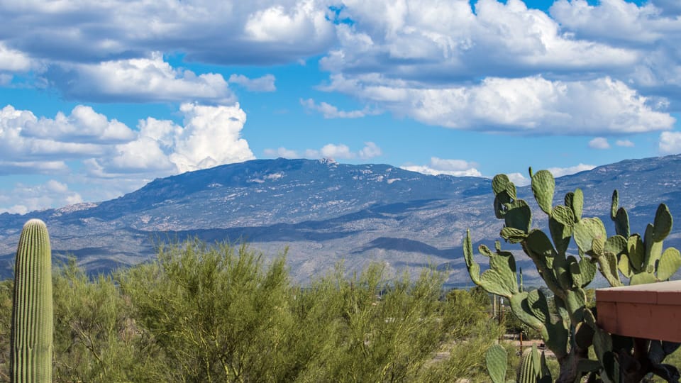 Rincon Mountains and lush desert setting