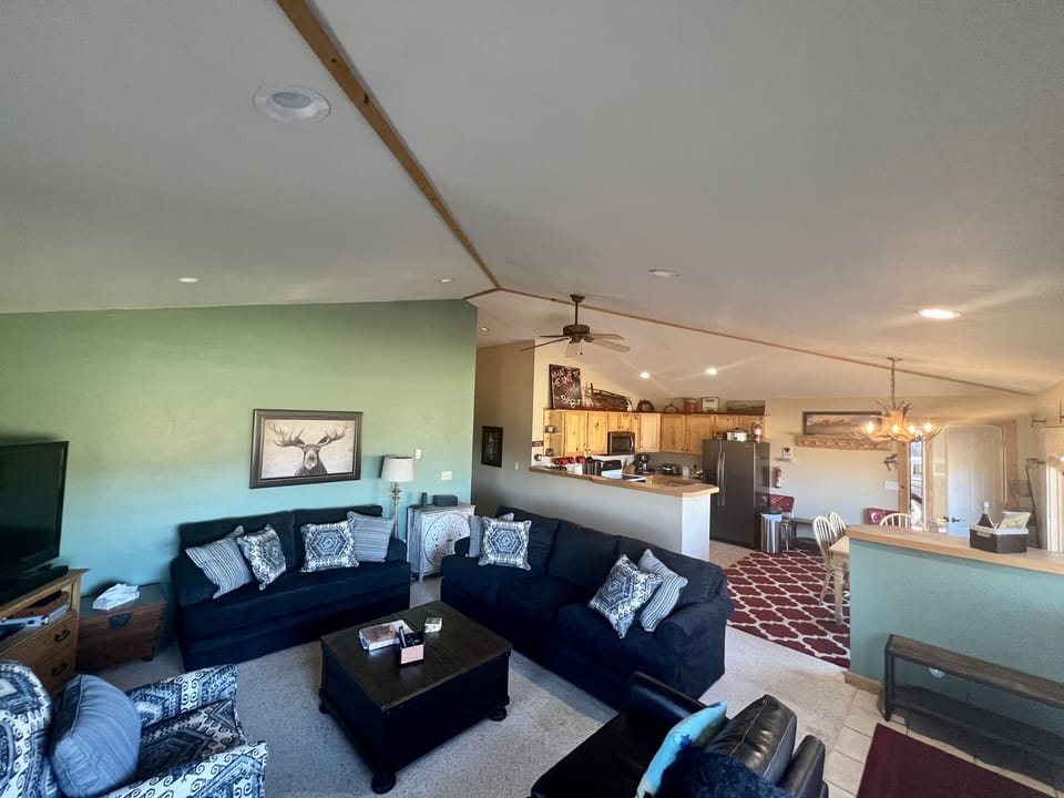 Living / Kitchen