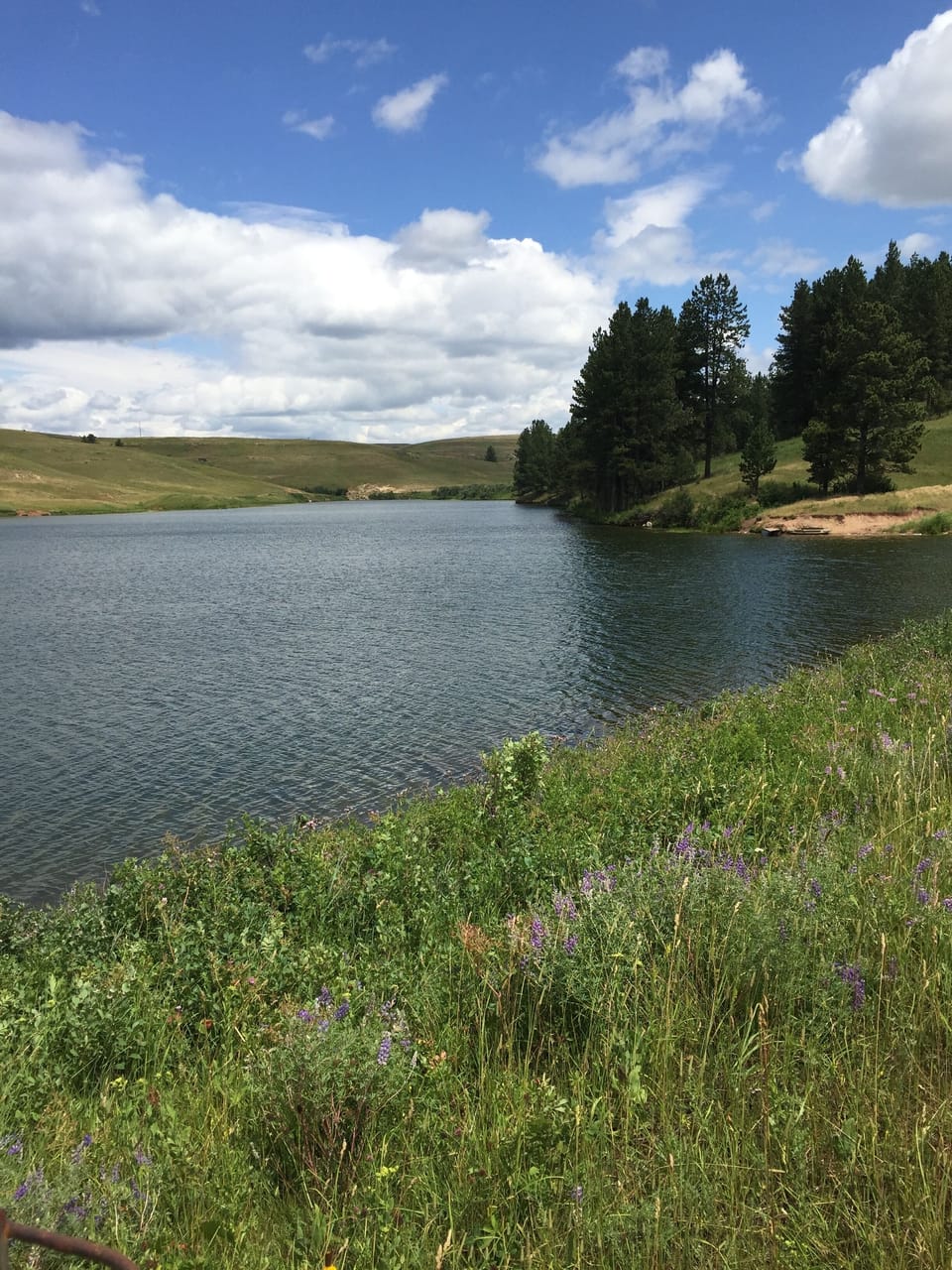 Lake