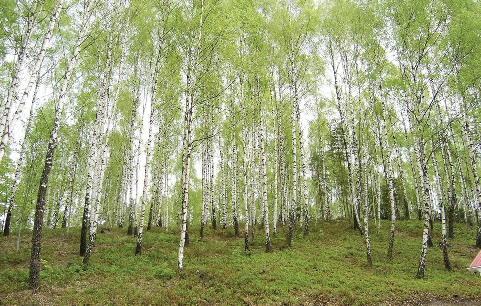 area