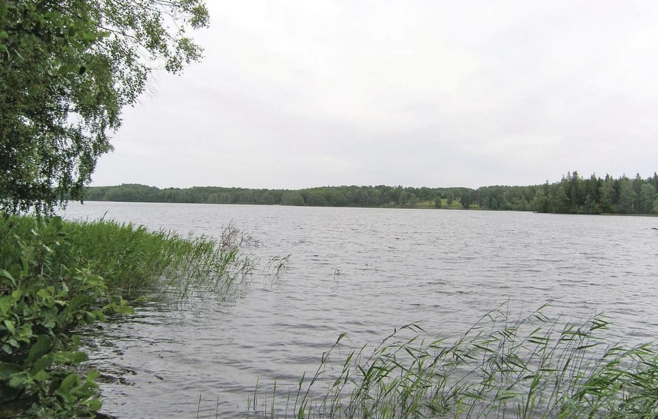 area