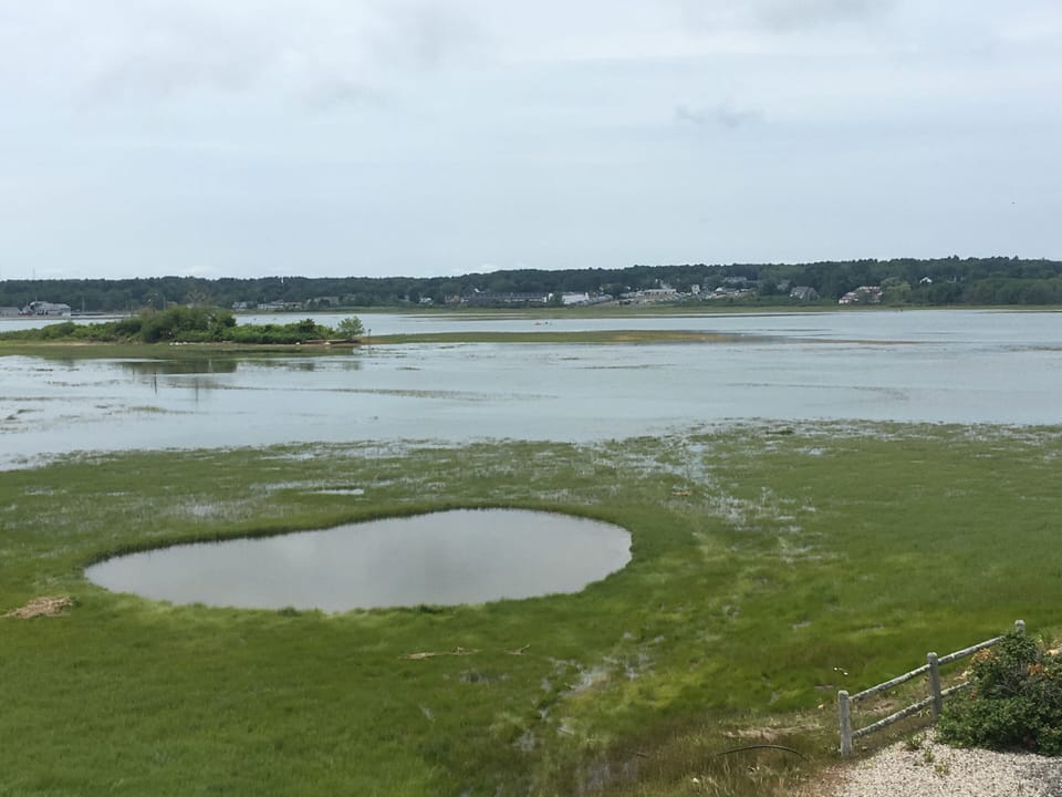 High tide. Marsh views