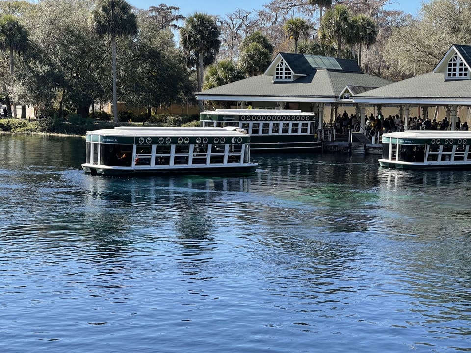 Glass Bottom Boat Tours on Silver River
