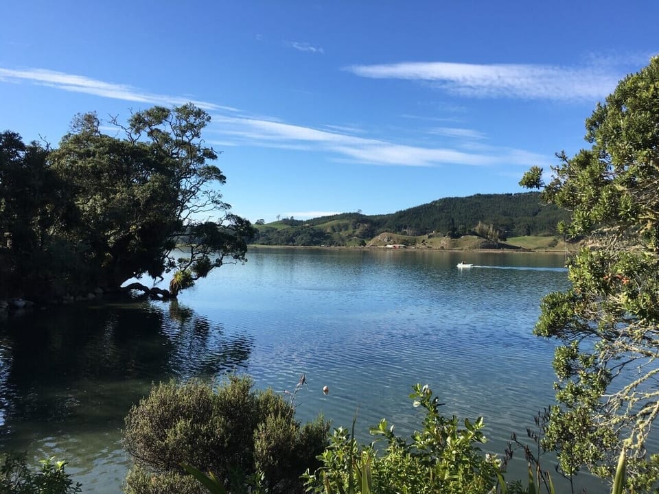 Estuary - photo taken from Opoutere Road 
