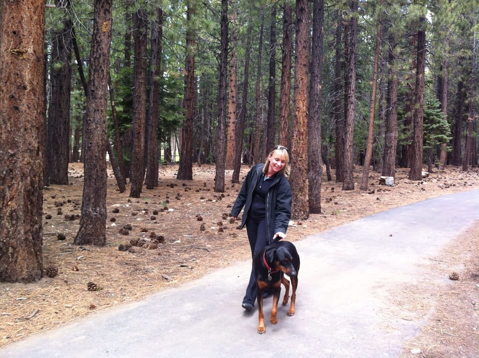 Nika loves her walks!