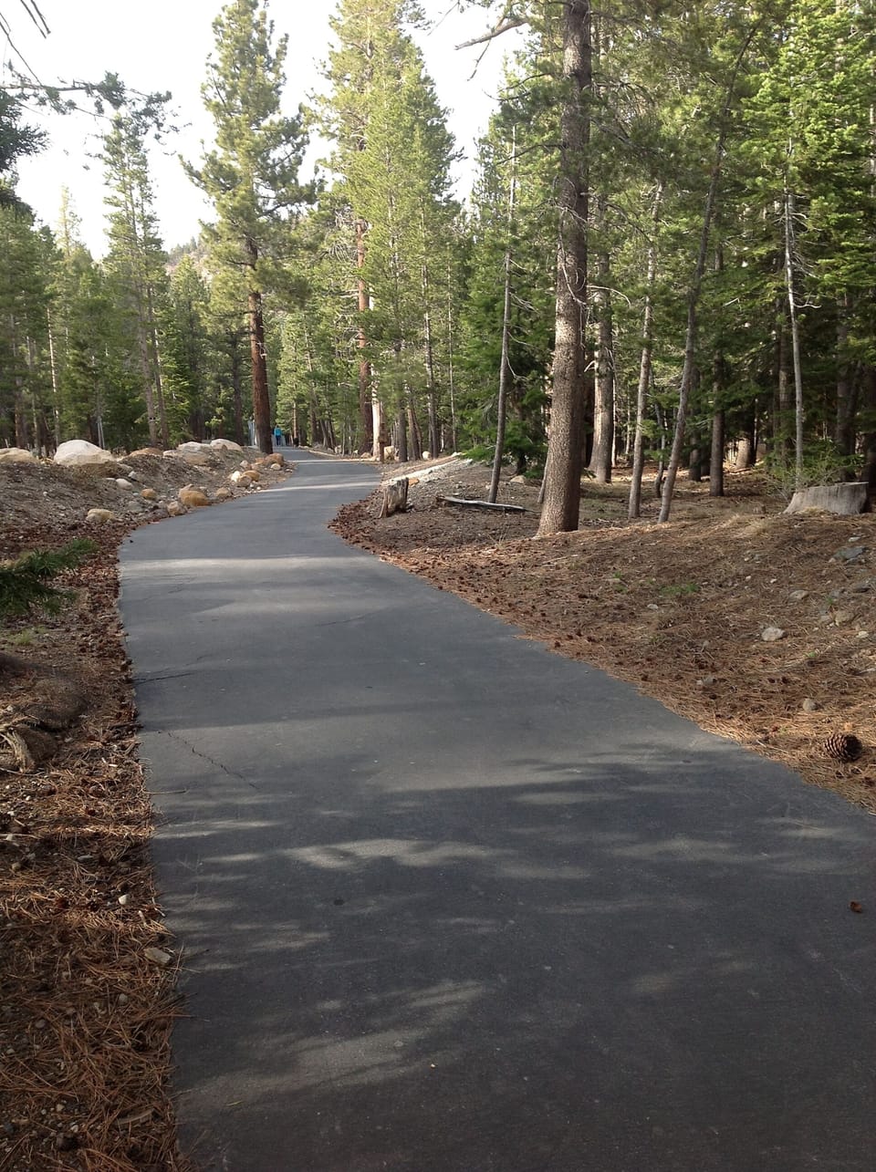 Walking/Bike path behind our condo. Great for snowshoeing  in the Winter.