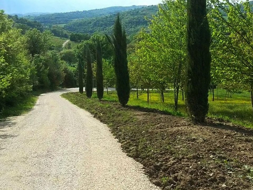 The driveway
