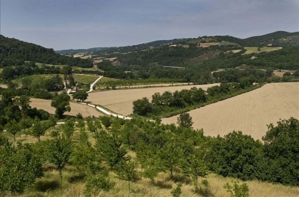 A view from the house