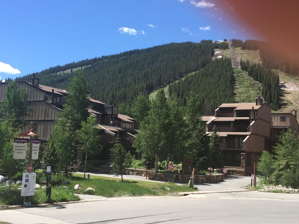 Village Point Townhomes in summer.