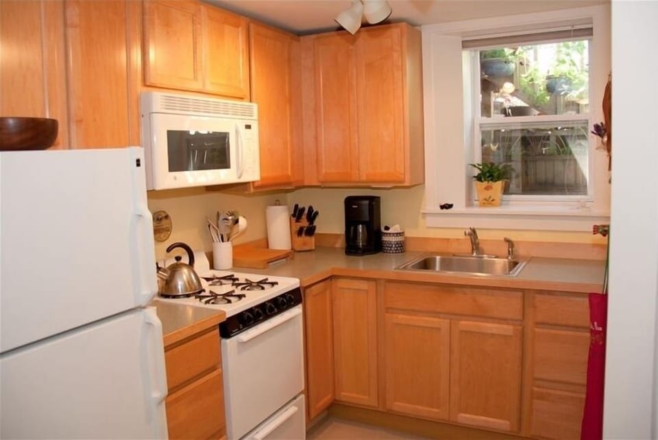 A fully-equipped and fully-stocked bright kitchen with a garden view.