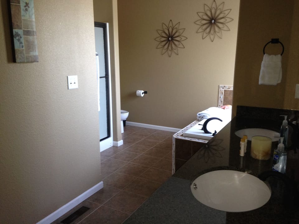Master bathroom with shower, jetted tub and large walk-in closet.