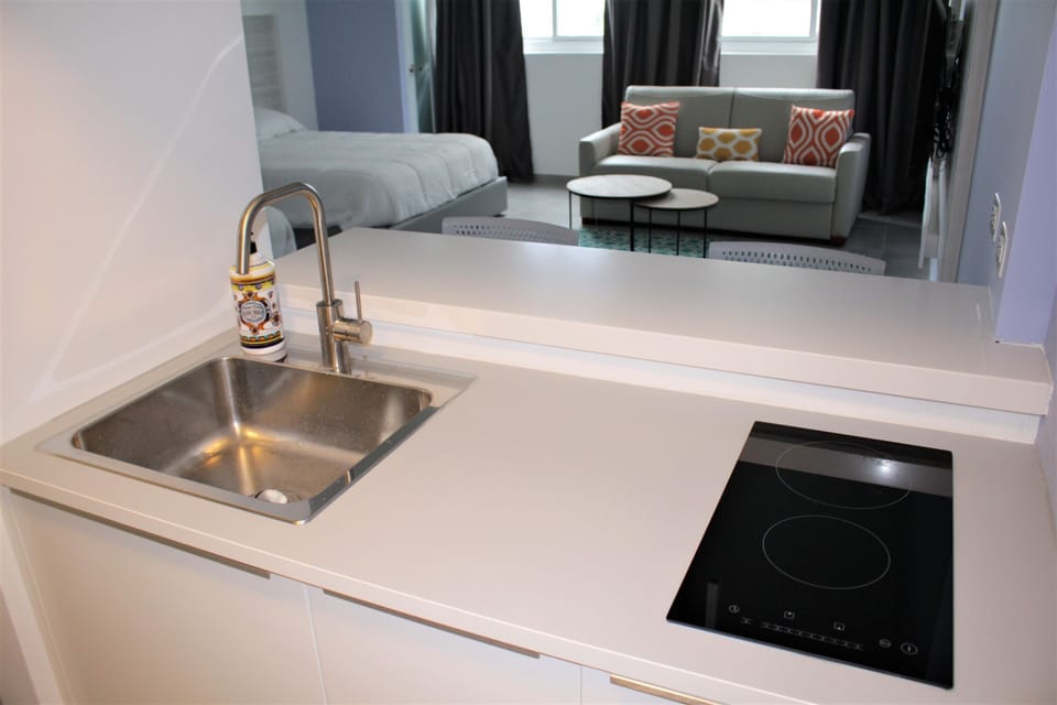 Induction countertop stove, 2 burners, kitchen sink.
