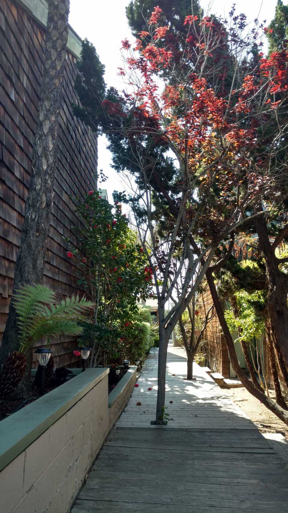 Walkway to your stay.