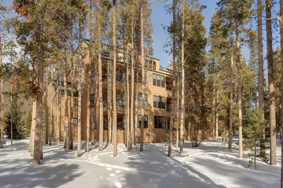 Nestled in a forest setting you get a marvellous nature escape atmosphere