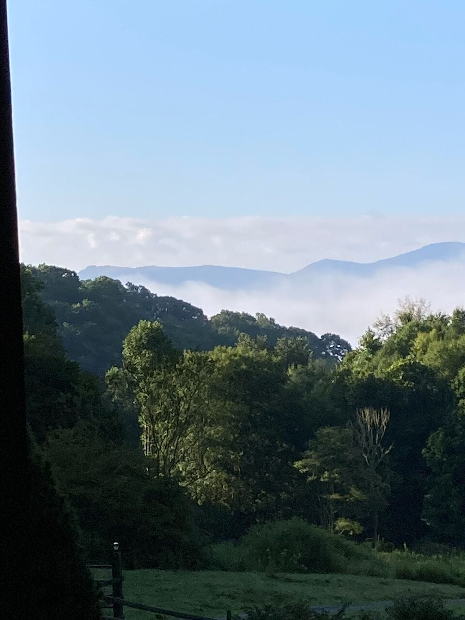 View from property