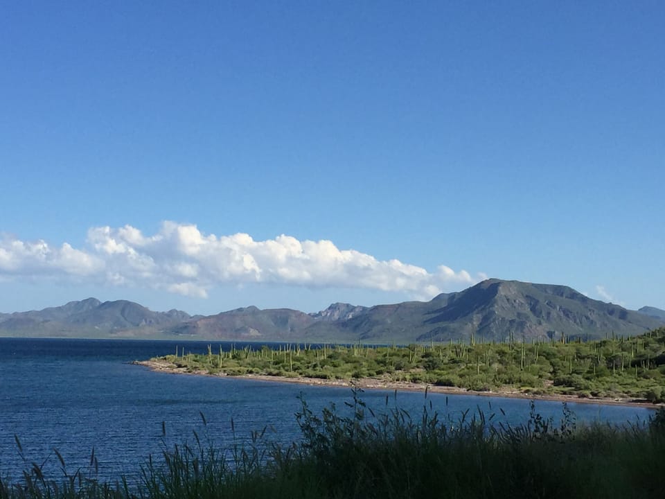Sea of Cortez