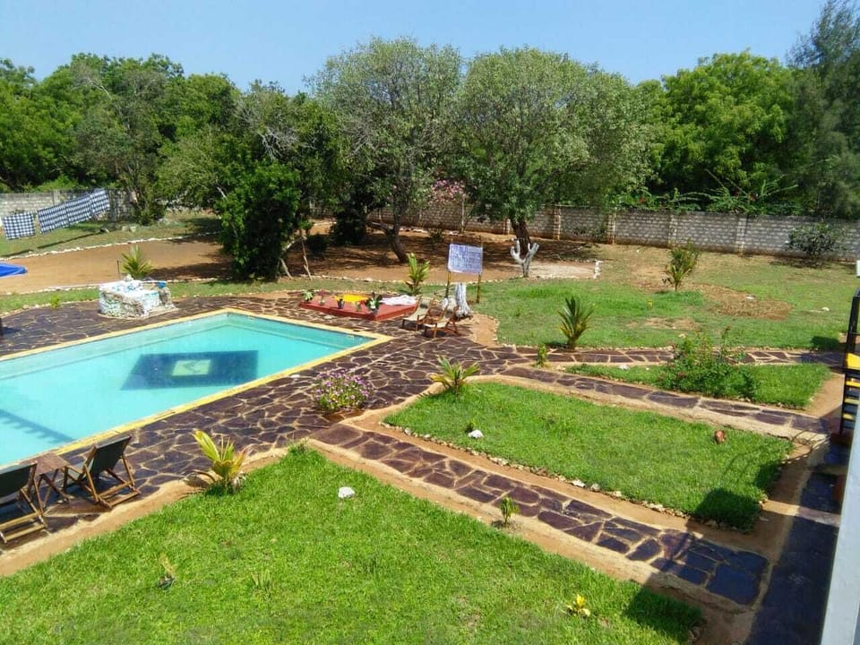 ROOF TOP VIEW 