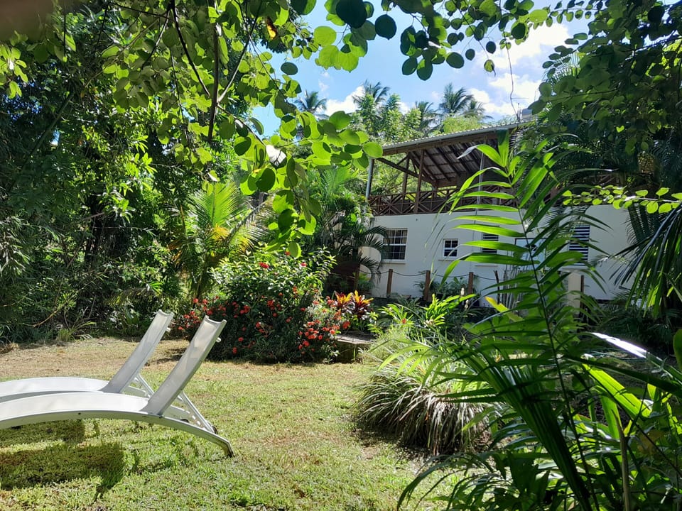 Garden looking