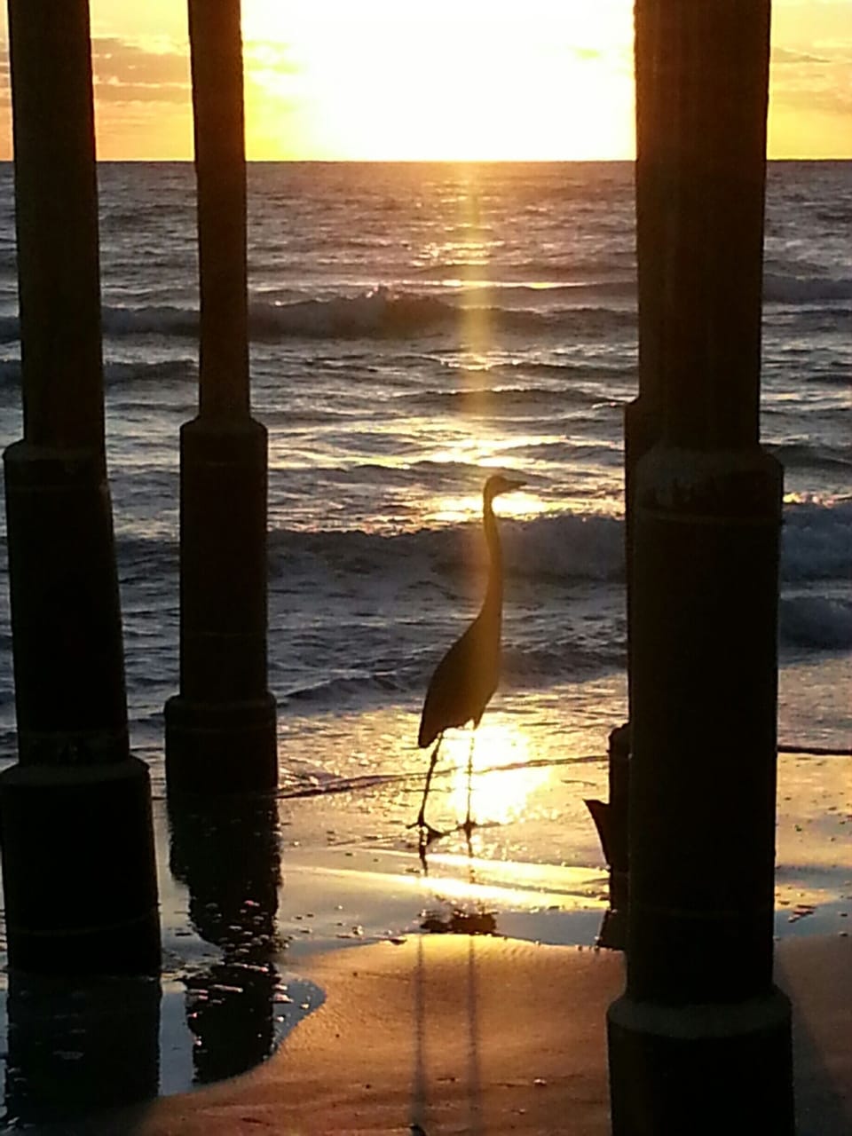 under the pier
