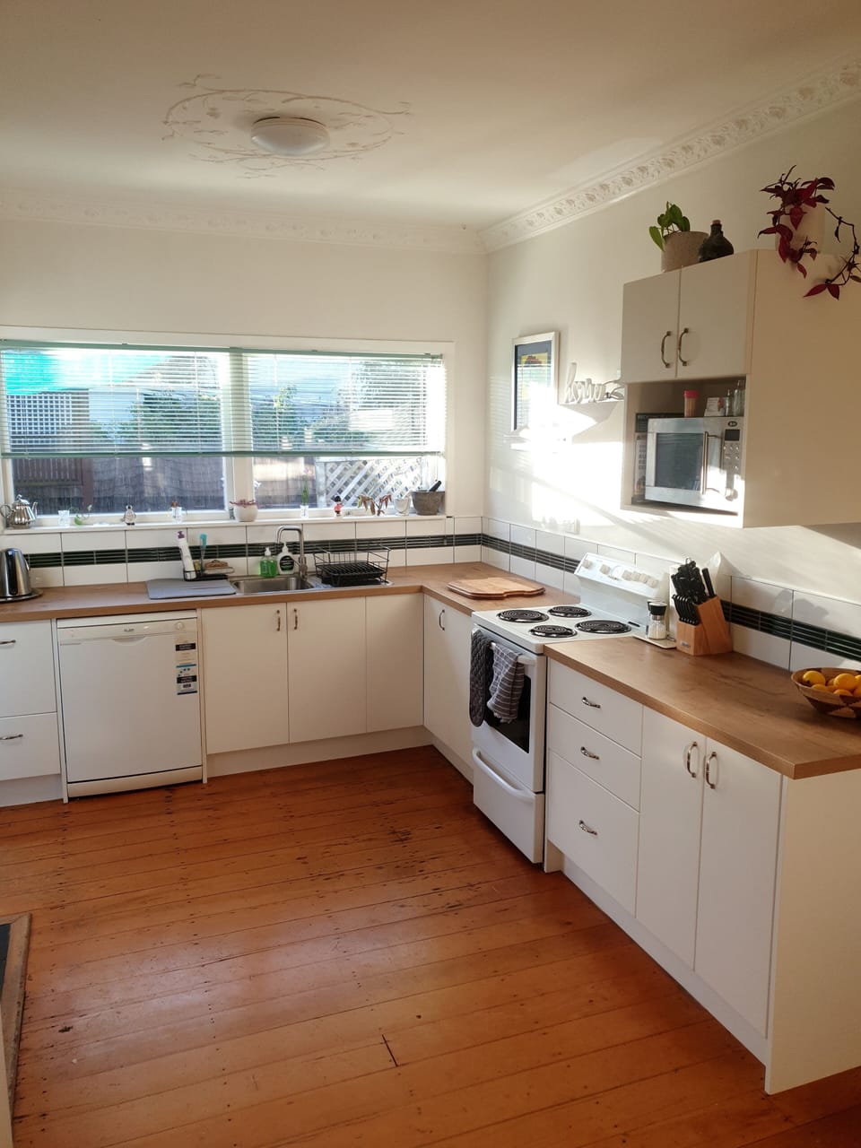 Newly renovated kitchen