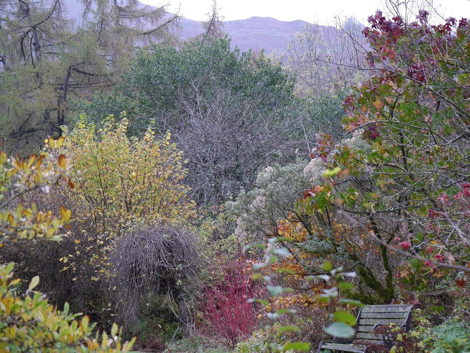 Main Ladywood garden in Autumn